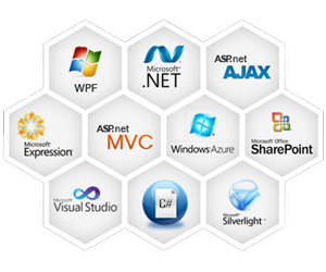 Microsoft ASP .Net Development